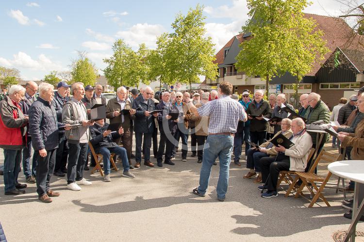 Der Clarholzer Maibaum