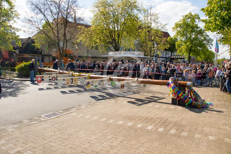 Der Clarholzer Maibaum