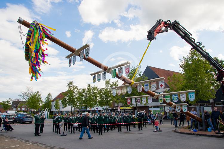 Der Clarholzer Maibaum