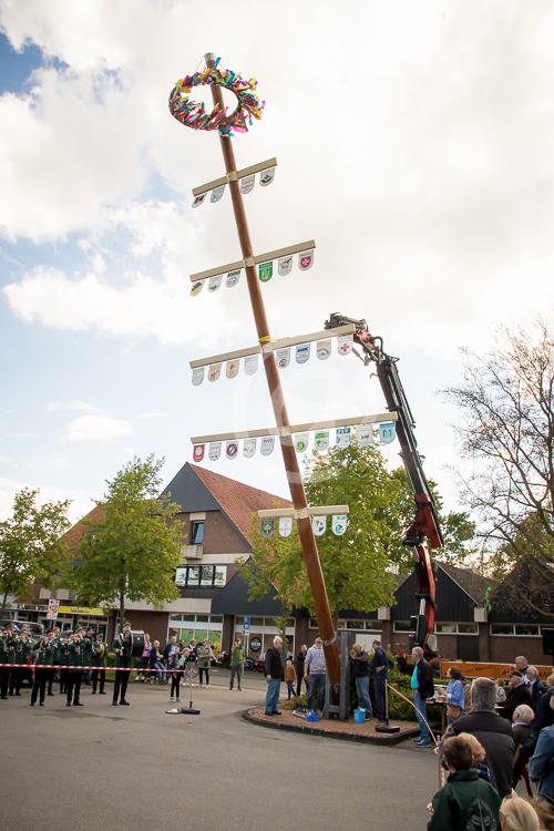 Der Clarholzer Maibaum